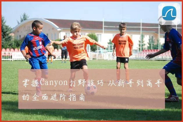 掌握Canyon打野技巧 从新手到高手的全面进阶指南