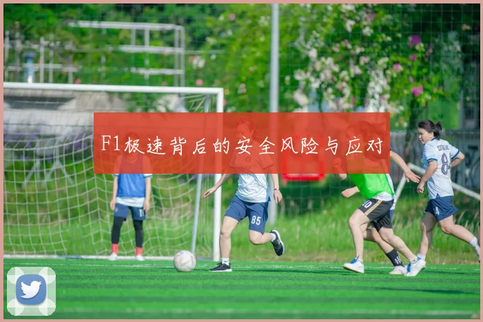 F1极速背后的安全风险与应对