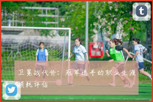 卫冕战代价：冠军选手的职业生涯损耗评估
