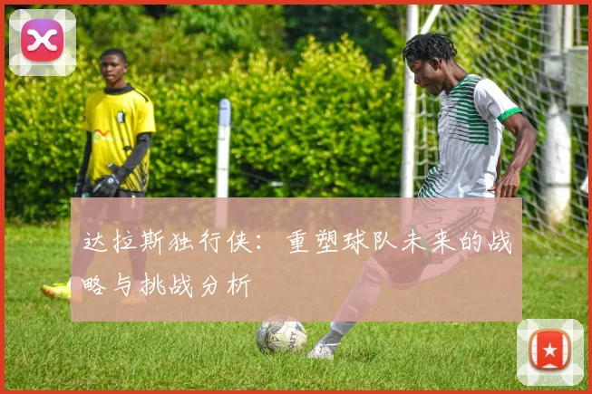 达拉斯独行侠：重塑球队未来的战略与挑战分析