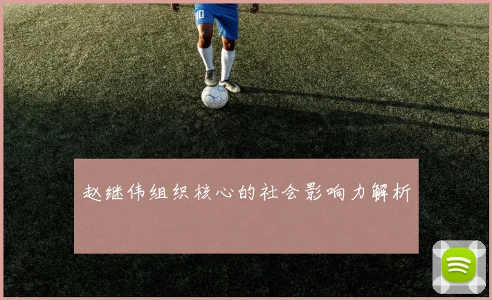 赵继伟组织核心的社会影响力解析