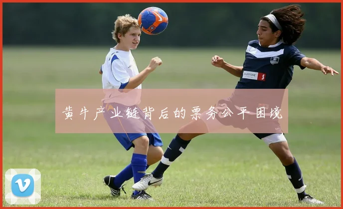 黄牛产业链背后的票务公平困境