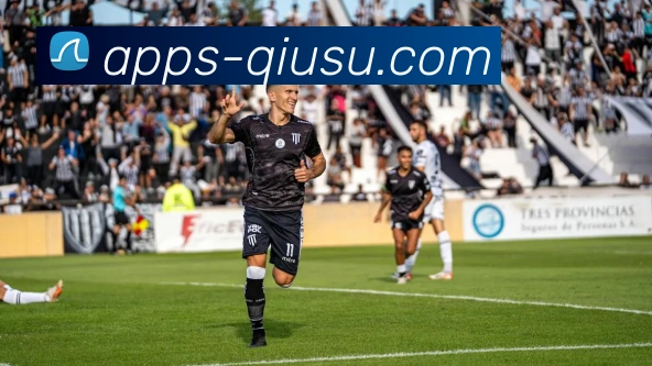 球速平台生态图