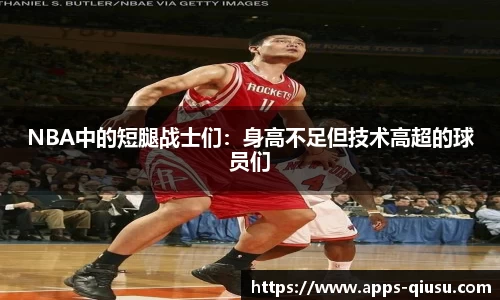 NBA中的短腿战士们：身高不足但技术高超的球员们